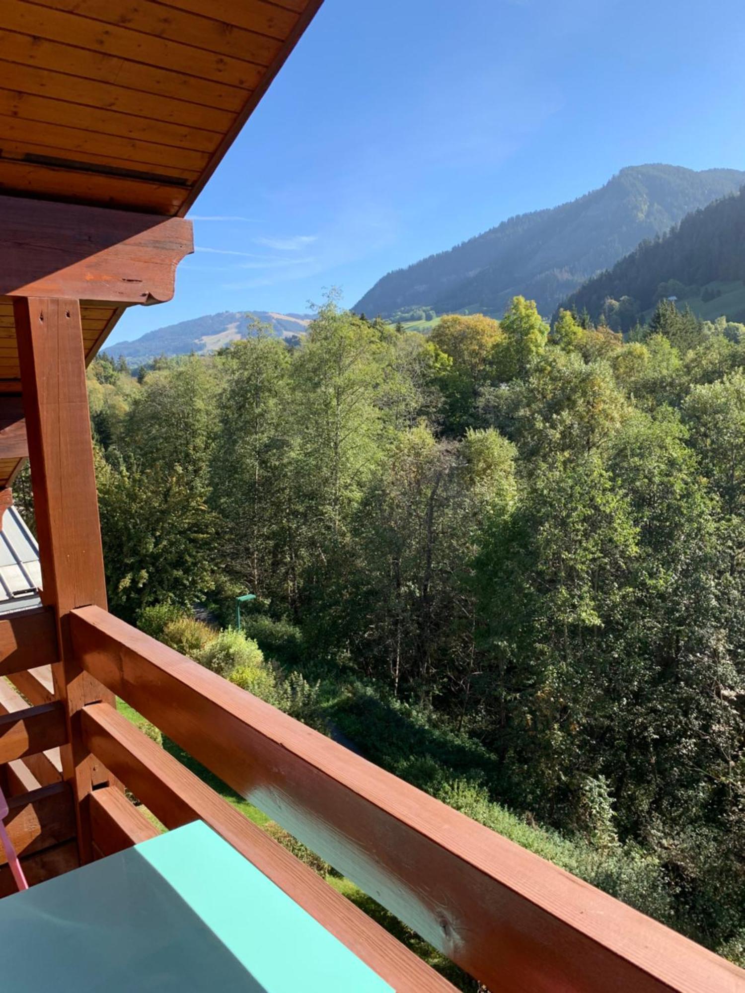 Appartement Vue Piste De Ski Praz-sur-Arly Exteriér fotografie